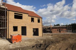 melton view 13 sm.jpg